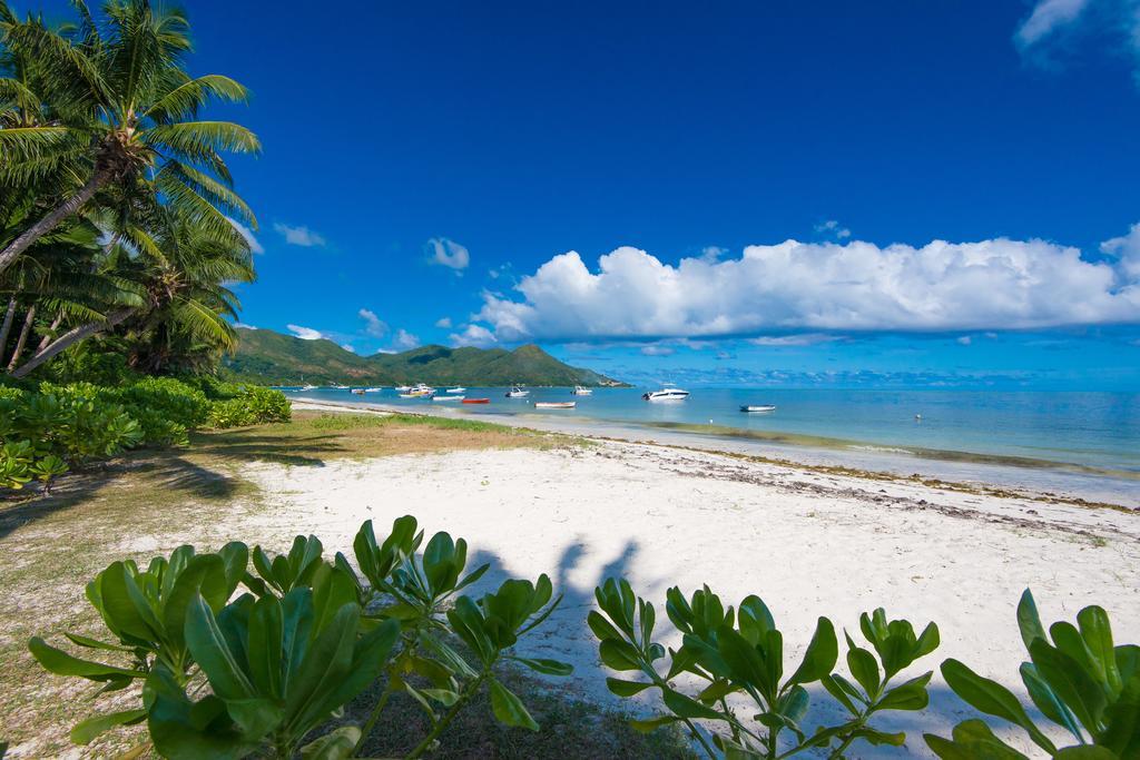 Le Tropique Villa Grand Anse  Room photo